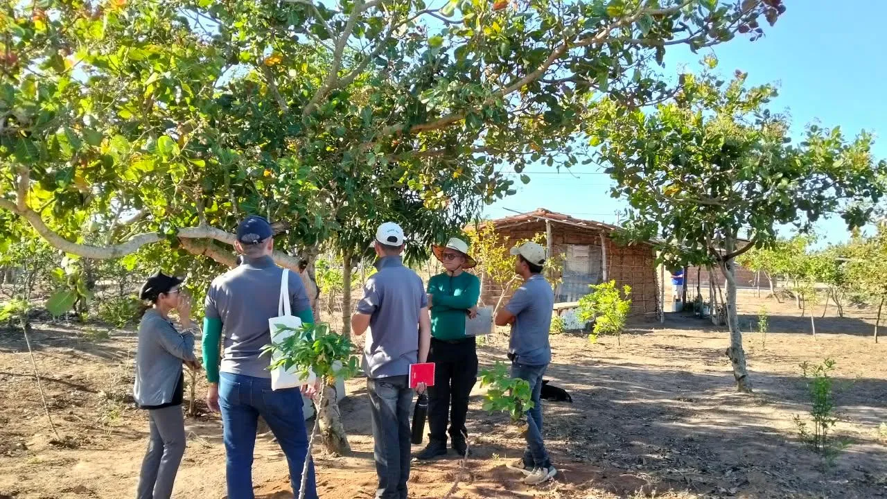 Da Terra à Mesa: agroecologia que transforma vidas