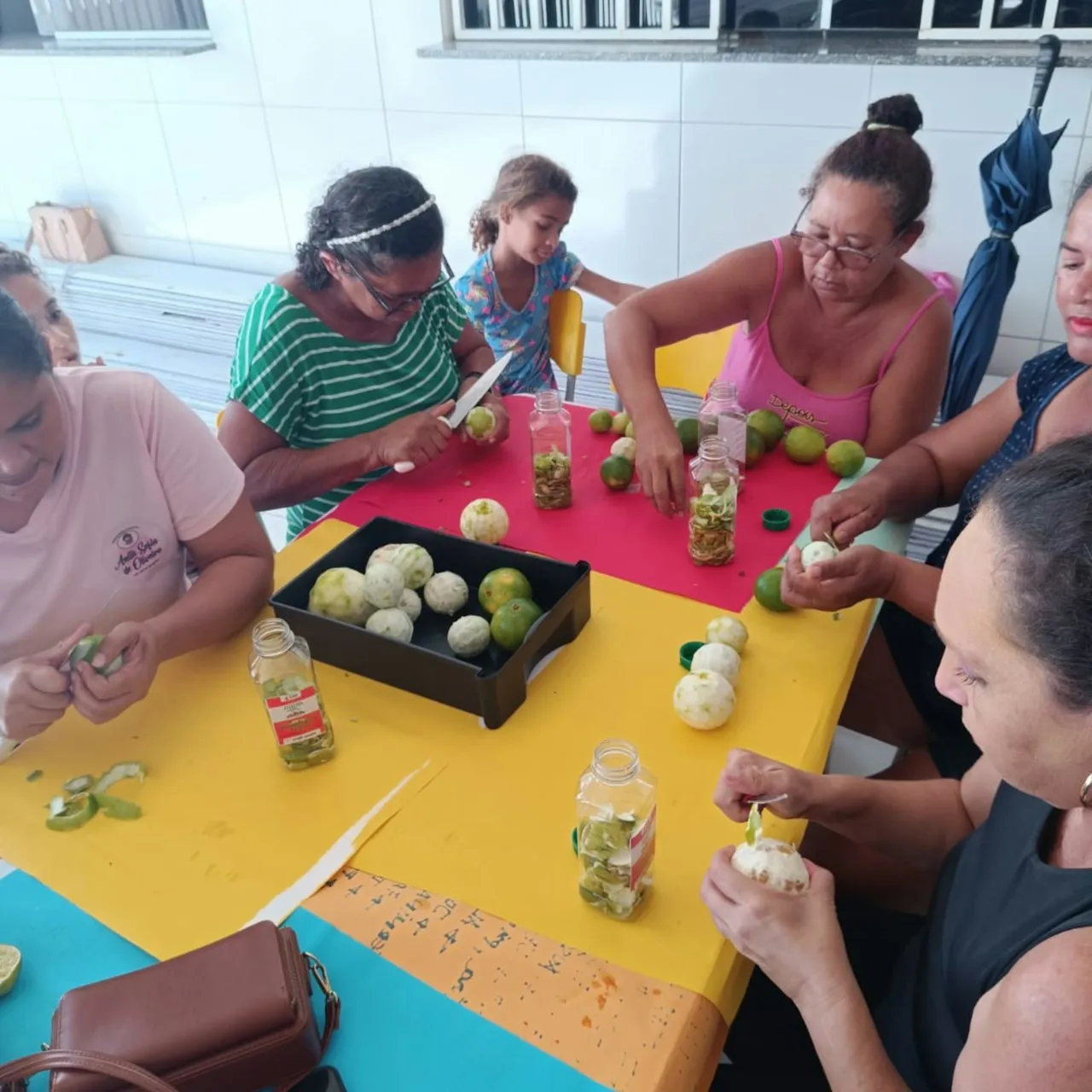 Curso Quintais Agroecológicos é concluído em comunidades de São José de Mipibu — mídia 10