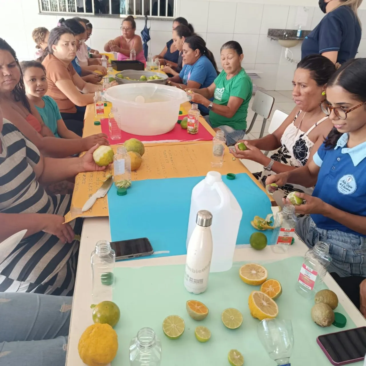 Curso Quintais Agroecológicos é concluído em comunidades de São José de Mipibu — mídia 15