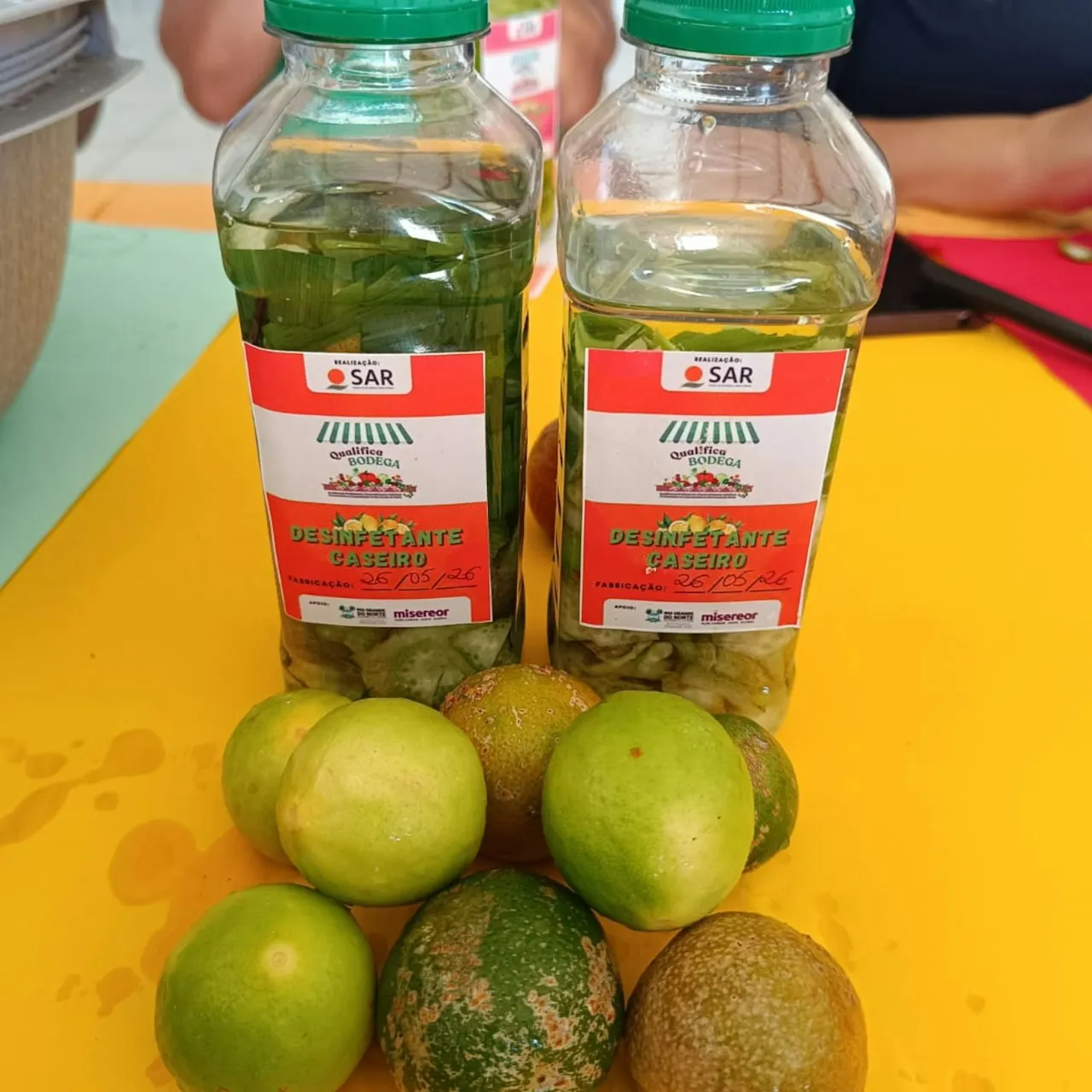 Curso Quintais Agroecológicos é concluído em comunidades de São José de Mipibu — mídia 11