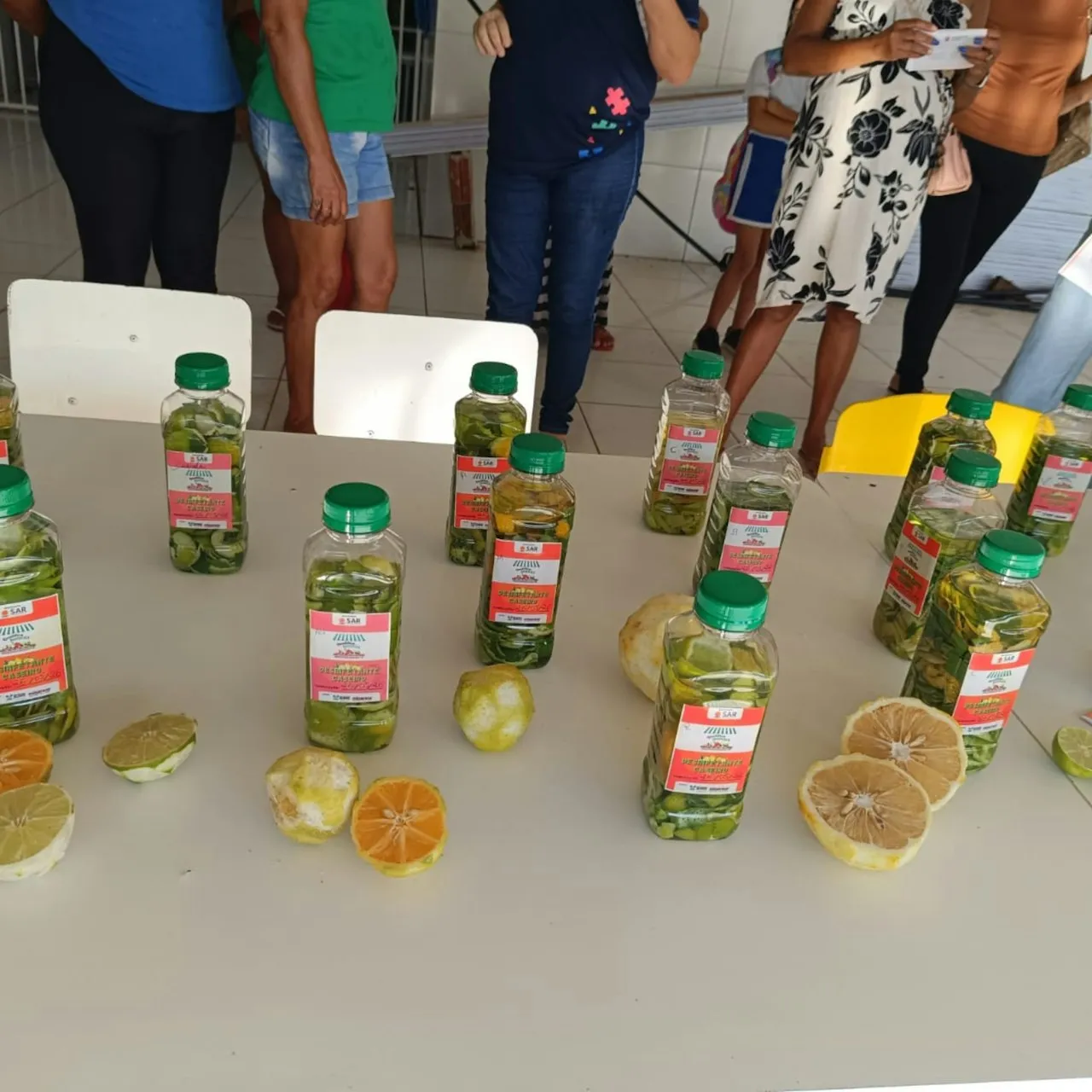 Curso Quintais Agroecológicos é concluído em comunidades de São José de Mipibu — mídia 13