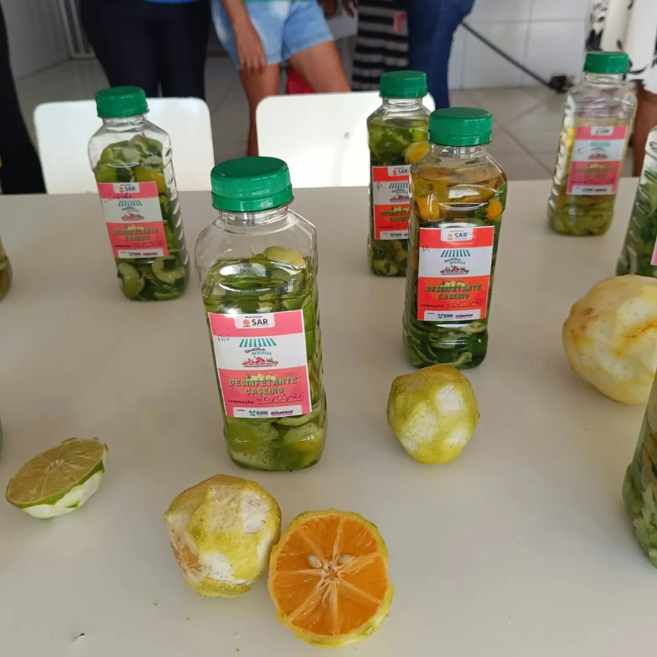 Curso Quintais Agroecológicos é concluído em comunidades de São José de Mipibu — mídia 17