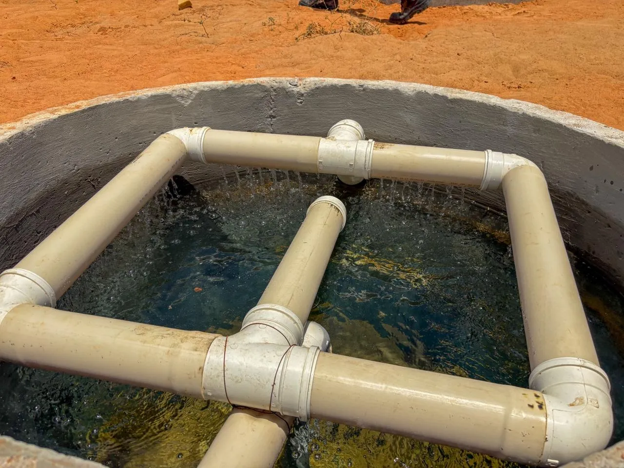 Visitas Técnicas do Projeto Caminhos da Agroecologia — mídia 7