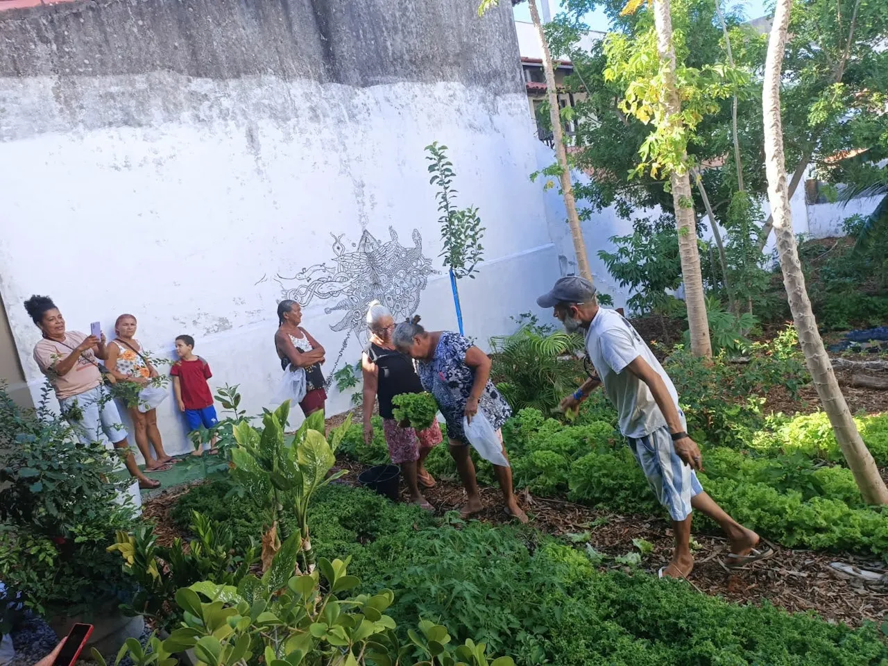 Fotos Bodega Solidária - Ponta Negra Natal RN — mídia 5