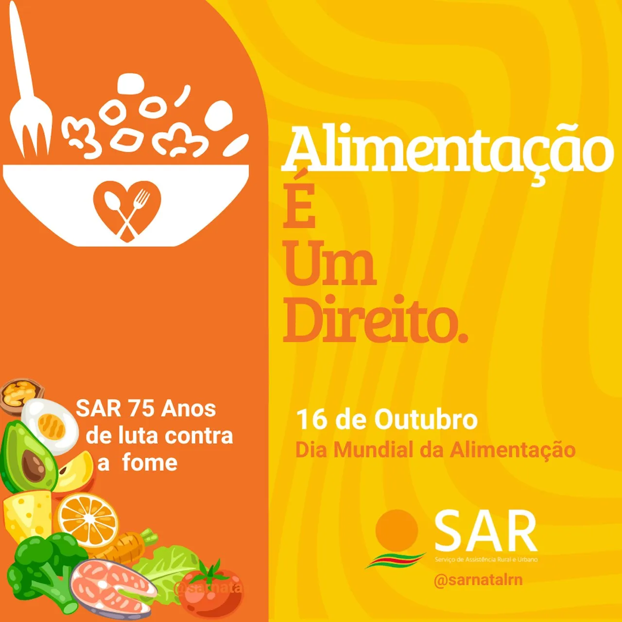 Dia Mundial da Alimentação: A Luta Global pelo Direito à Alimentação Digna e Sustentável