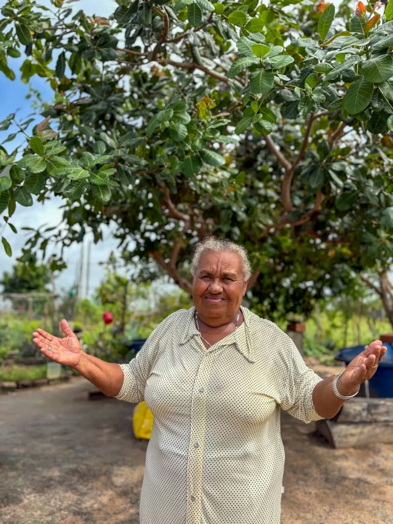 Montanhas recebe a primeira Cisterna Telhadão do Rio Grande do Norte e fortalece convivência com o Semiárido — mídia 4